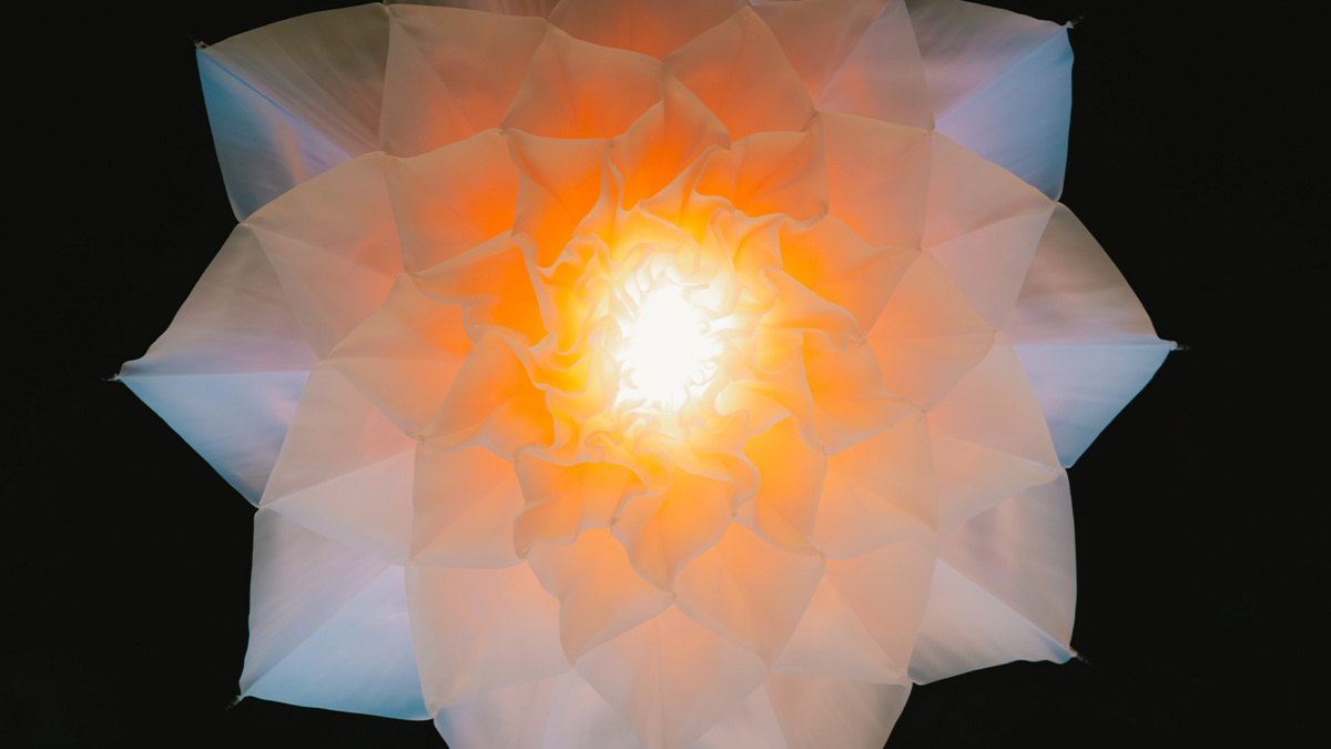 Eine große mechanische Blüte, die sich gerade ganz öffnet.